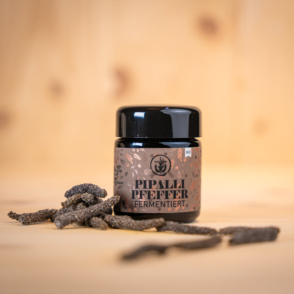 Pipalli-Pfeffer fermentiert Glas